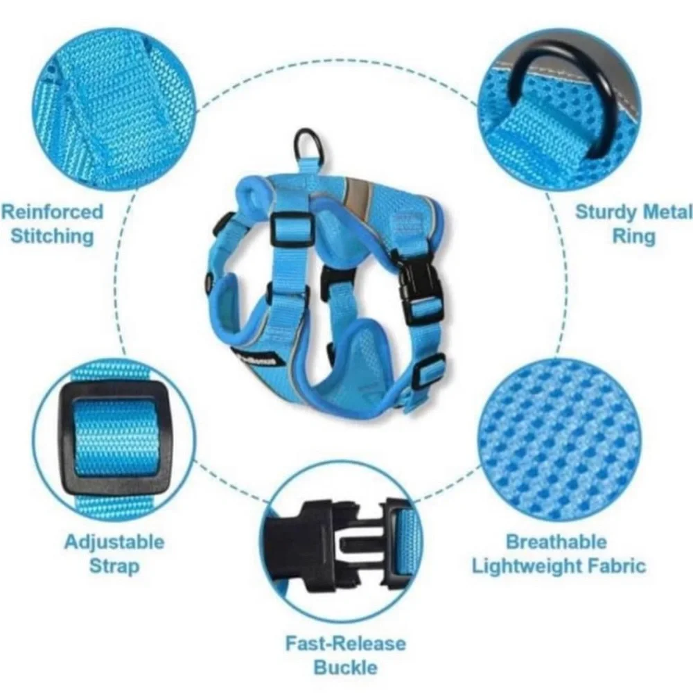 Cat Harness And leash Set